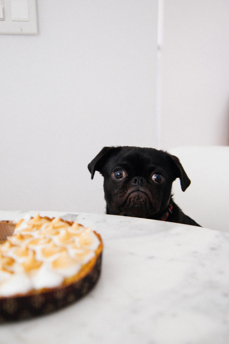 Hunger Pangs With a Higher Purpose