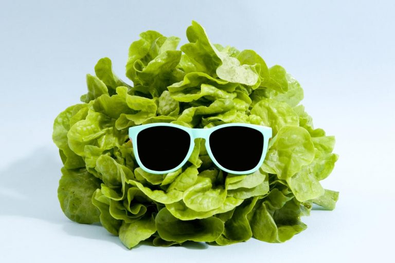 healthy-food-letuce